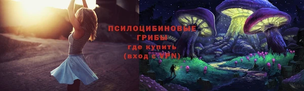 меф Новодвинск