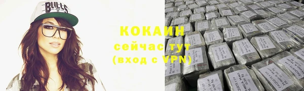 дживик Нея