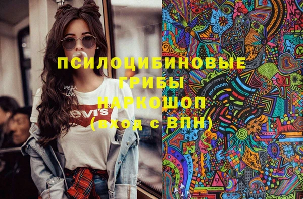 а пвп мука Новозыбков
