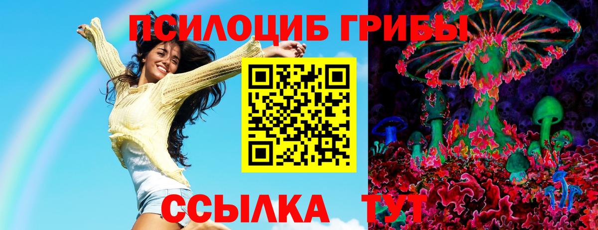 Челябинск  Галлюциногенные грибы GOLDEN TEACHER  где можно купить   Галлюциногенные грибы GOLDEN TEACHER  Вход с VPN 
