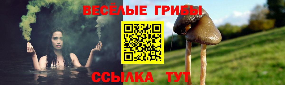 Галлюциногенные грибы Cubensis  где продают   Псилоцибиновые грибы ЛСД  Челябинск 